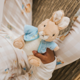 Peter Rabbit™ Soft Toy