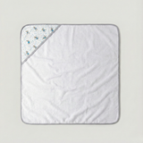 Peter Rabbit Hooded Towel