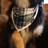 Dog Bib Green Tartan Pet Bandana